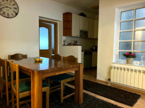 Homy apartment in city center Marijin Dvor